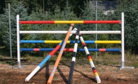 Farbige Sprungstangen für den Pferdesport