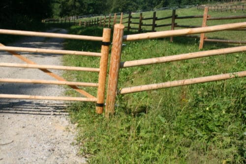 Zaunsteher – Bild 8