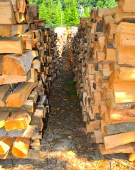 Schnitt-, Bau und Brennholz