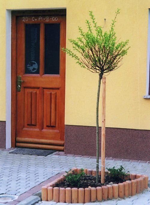 Baumpflöcke – Bild 2