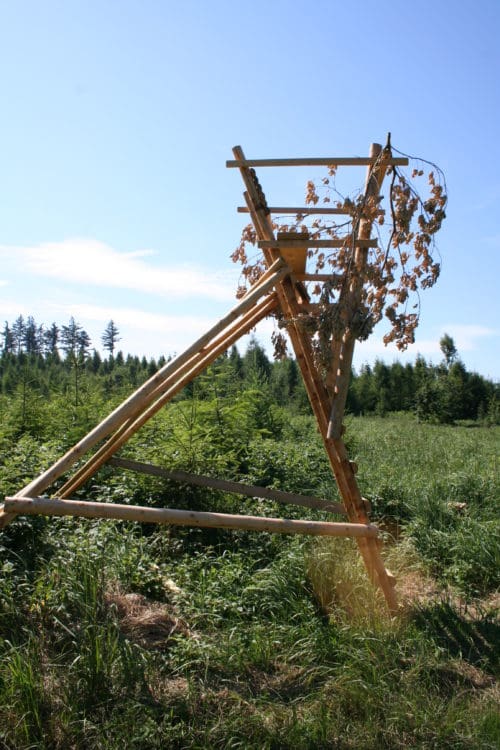 Rundholz - Stangen – Bild 6