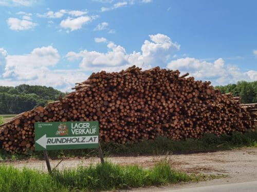 Fichtenstangen in Rinde – Bild 3