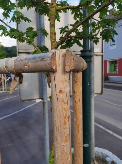 Baumpflock Verbindungen – Bild 2