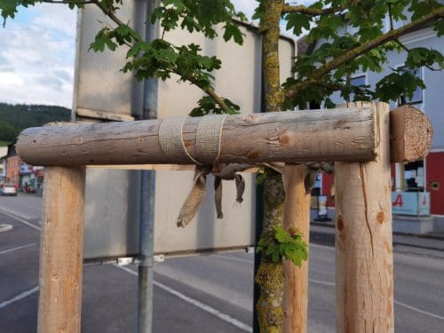 Baumpflock Verbindungen – Bild 3