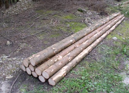 Fichtenstangen in Rinde – Bild 8