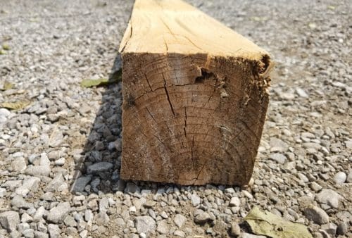 Kantholz – Bild 3